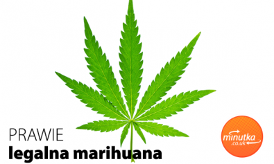 Prawie legalna Marihuana Minutka Blog